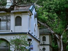 -九龙公园