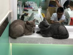 -全心全意连锁动物医院(石景山店)