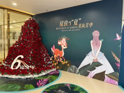 -丰联丽格医疗美容·联合丽格眼整形中心
