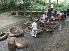-成都市活水公园