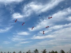 -汉长安城未央宫国家考古遗址公园