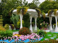 -上海共青森林公园