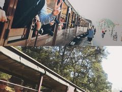 -普芬比利蒸汽火车