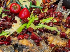 -老板恋上鱼(恒隆广场店)