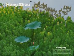 -西溪国家湿地公园