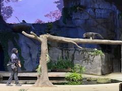 -夜间野生动物园