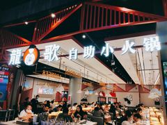 -龍歌自助小火锅(城阳万象汇店)