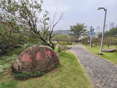 -广东花都湖国家湿地公园
