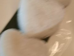 -顺德喜来登酒店·采悦轩