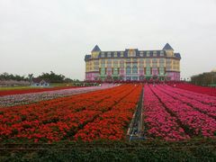 -百万葵园