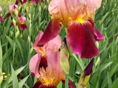 -永定河休闲森林公园