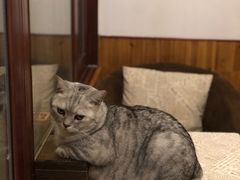 -隅cafe(傅厚岗店)