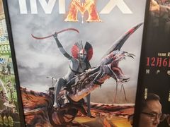 -SFC上影影城(港汇永华IMAX激光店)