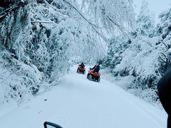 -武陵山森林公园