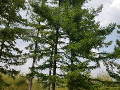 -长春公园(普阳街道)