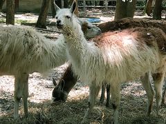 -昆山城市生态森林公园