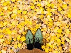 -洛阳白云山景区