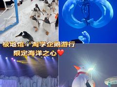 -哈尔滨热雪奇迹