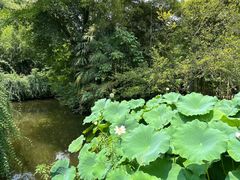 -成都杜甫草堂博物馆