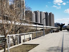 -滨州铁路桥