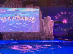 -华夏文旅海洋公园