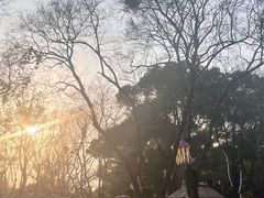 -无锡梅园公园