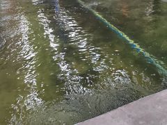 -光头佬室内钓虾场·烧烤·团建·亲子(中山八路店)