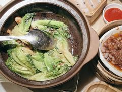 -陶陶居酒家(SM二期购物广场店)