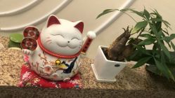 -芳朵美容养生SPA