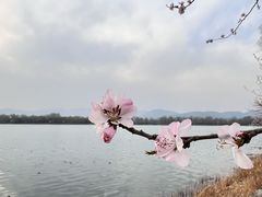 -颐和园
