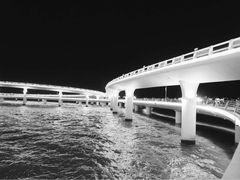 -演武大桥观景平台