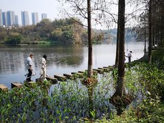 -重庆彩云湖湿地公园