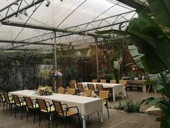 -桉树林A coffee 森林餐厅(三圣乡店)