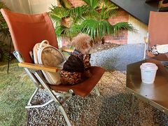 -J Create城市露营咖啡·简餐·宠物(上海动物园店)