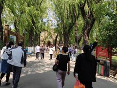 -哈尔滨文化公园