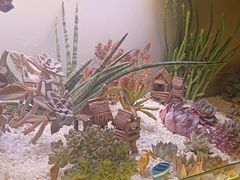 -街角等你.大连海鲜烧烤.经典铁板海鲜串(西安路店)