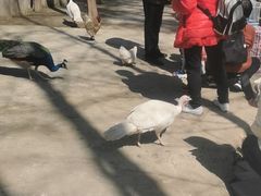 -昆山城市生态森林公园