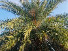 -北海金昌开元名都大酒店·四季轩中餐厅