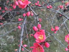 -中国计量大学(西校区)