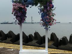 -上海滨江森林公园