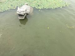 -昆山城市生态森林公园