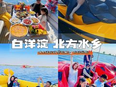 -白洋淀景区