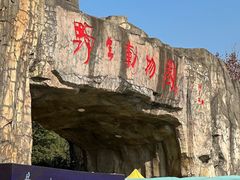 -合肥野生动物园