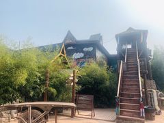 -呀路古热带植物园