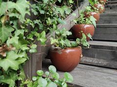 -白塘生态植物园