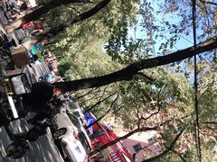 -茶百道(棠石路店)