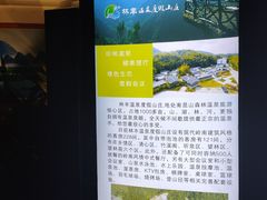 -林丰温泉度假山庄