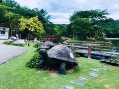 -清迈夜间动物园