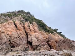 -北岐滩涂