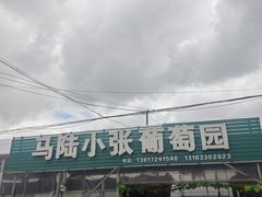 -马陆小张葡萄园农家乐